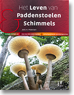 het leven van paddenstoelen en schimmels