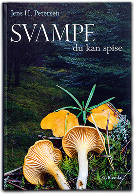 Svampe du kan spise