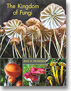 the kingdom of fungi