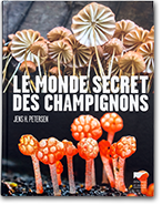 le monde secret de champignons