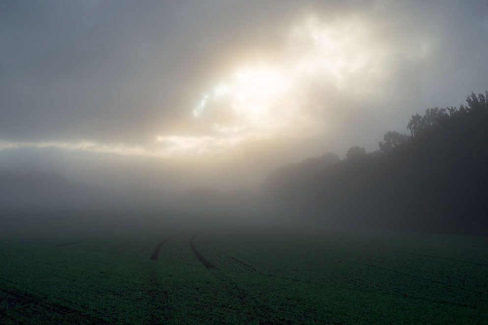CountryScenes-12.jpg