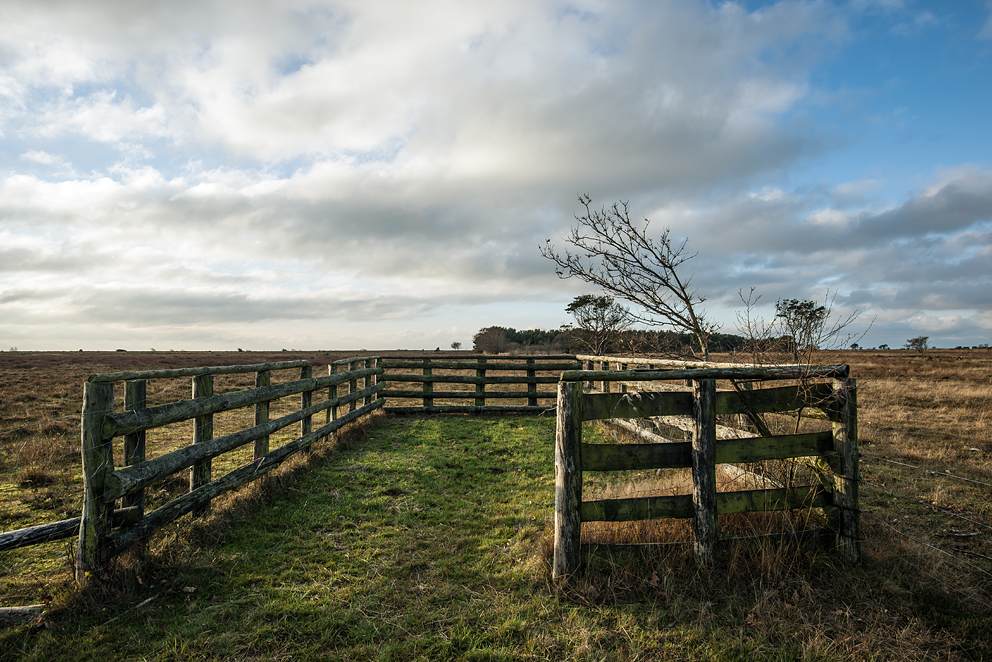 soendernyland-18112018-0890.jpg