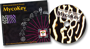 MycoKey 1