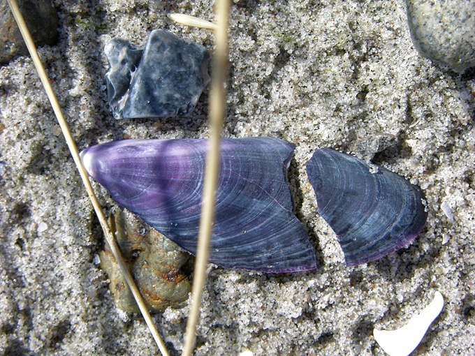 BeachMeditation10.jpg