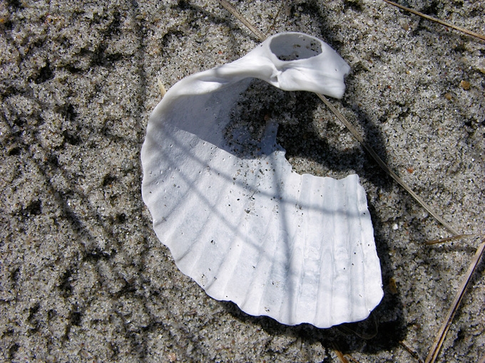 BeachMeditation12.jpg