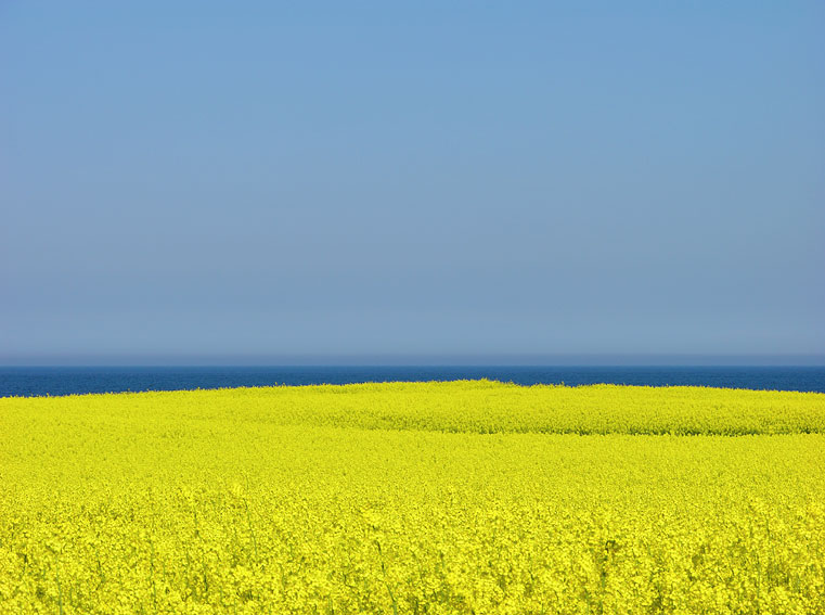 land-25.jpg
